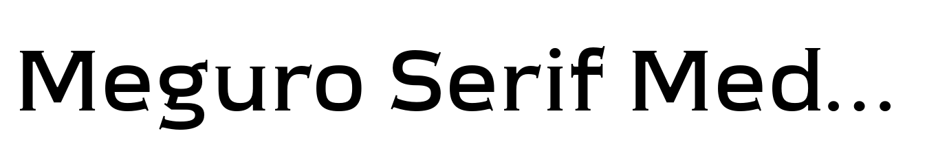 Meguro Serif Medium